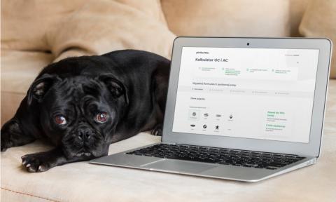 Jak zaoszczędzić na obowiązkowym ubezpieczeniu samochodu?